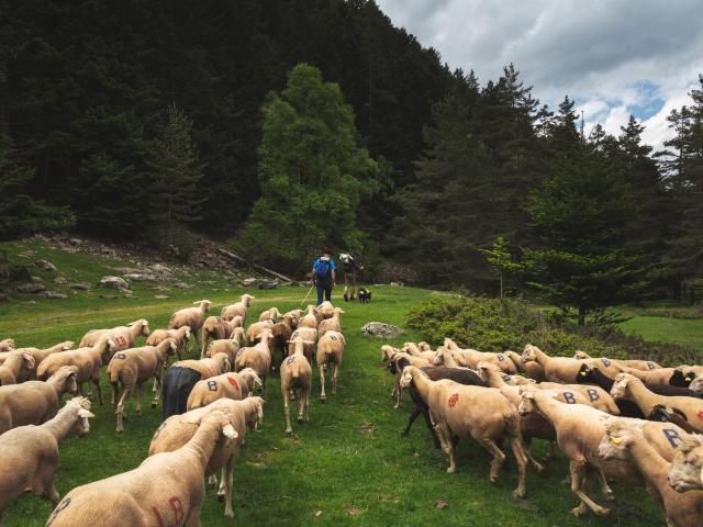 Greg Terra Photo Pastoralisme Rioumajou2